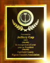 Faircount Recognition Award 2003
