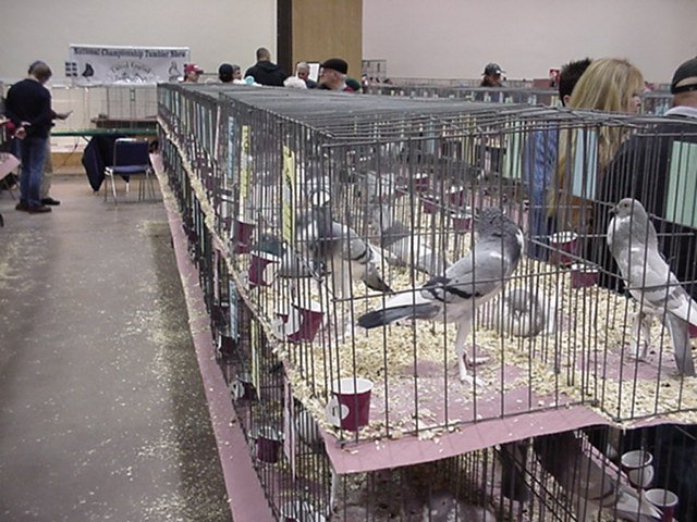 mvc151f.jpg