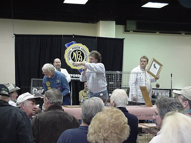 mvc161f.jpg