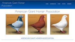 American Giant Homer Association