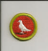 Boy Scouts of America Merit Badge
