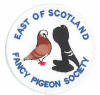 East of Scotland Fancy Pigeon Society